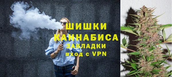 МДПВ Богородицк