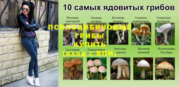 МДПВ Богородицк