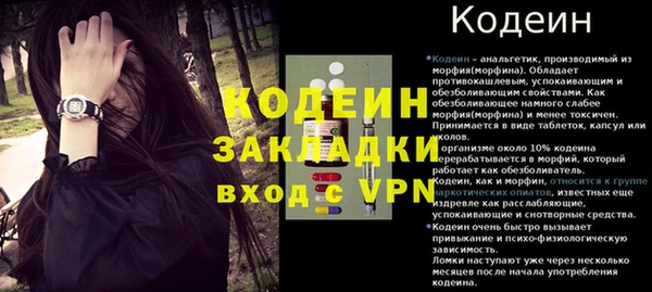 спайс Богданович