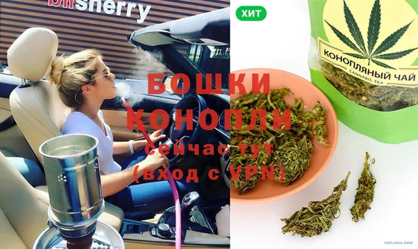 спайс Богданович